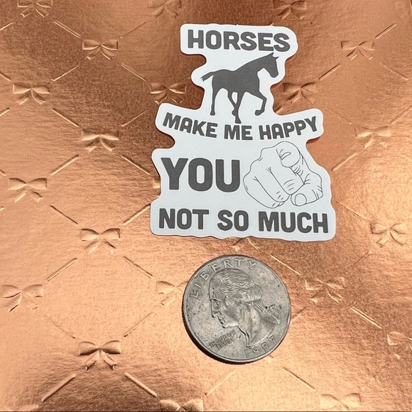Horse Humor Equestrian Horse Girl Horse Boy Cowboy CowGirl Single Decor Sticker - Picture 2 of 3